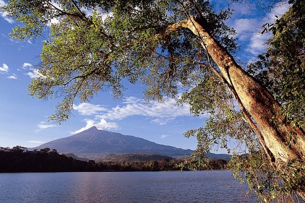 Northern_tanzania_duluti